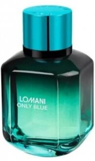 Lomani Only Blue EDT 100 ml Erkek Parfümü kullananlar yorumlar